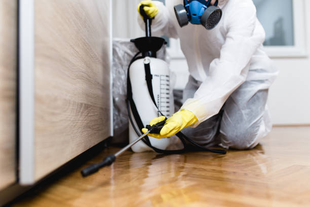 Pest Control Cost in Stratford, NJ