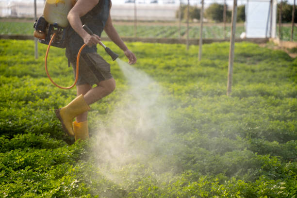 Pest Prevention Services in Stratford, NJ