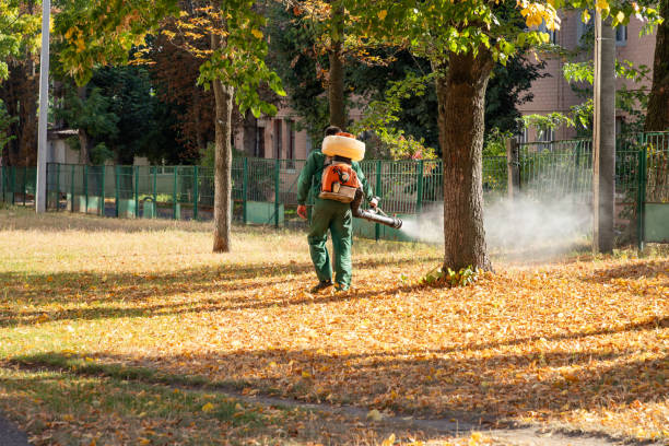 Best Pest Control for Restaurants  in Stratford, NJ