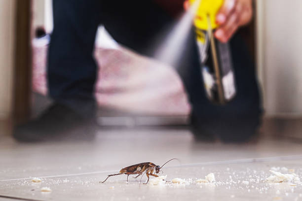 Best Local Pest Control Services  in Stratford, NJ